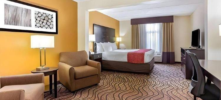 坦帕北I-75舒适套房酒店(Comfort Inn & Suites Tampa North I-75)图片