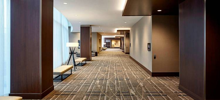 明尼阿波利斯美国购物中心 JW 万豪酒店(JW Marriott Minneapolis Mall of America)图片