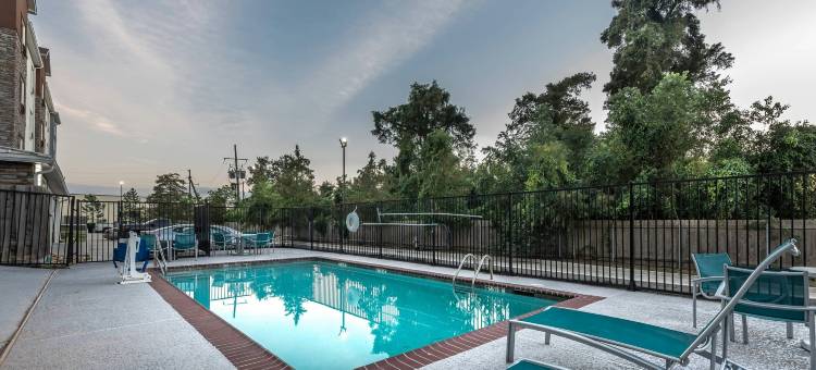 新奥尔良哈维/西岸万豪TownePlace套房酒店(TownePlace Suites New Orleans Harvey/West Bank)图片