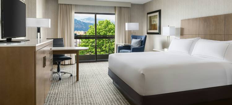 科罗拉多斯普林斯世界舞台逸林酒店(DoubleTree by Hilton Colorado Springs)图片