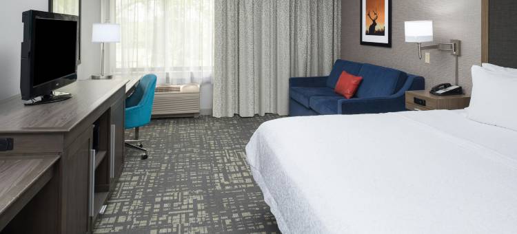 北苏城欢朋酒店(Hampton Inn North Sioux City)图片