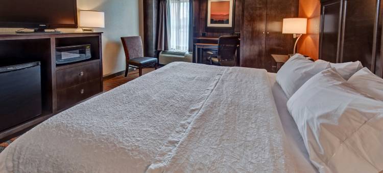 希尔顿克拉克斯维尔欢朋酒店(Hampton Inn Clarksville)图片