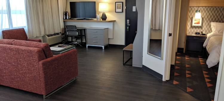 洲际酒店集团旗下尚佩恩假日酒店(Holiday Inn CHAMPAIGN by IHG)图片