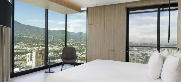 圣何塞拉萨瓦纳希尔顿酒店(Hilton San Jose la Sabana)图片