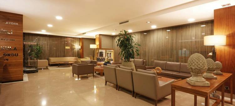 安卡拉海葵酒店(Anemon Kent Ankara Otel)图片
