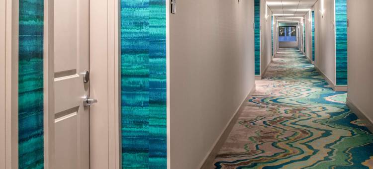 Homewood Suites by Hilton-贝尔蒙特(Homewood Suites by Hilton Belmont)图片