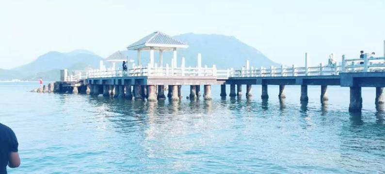 深圳108号院子度假民宿图片