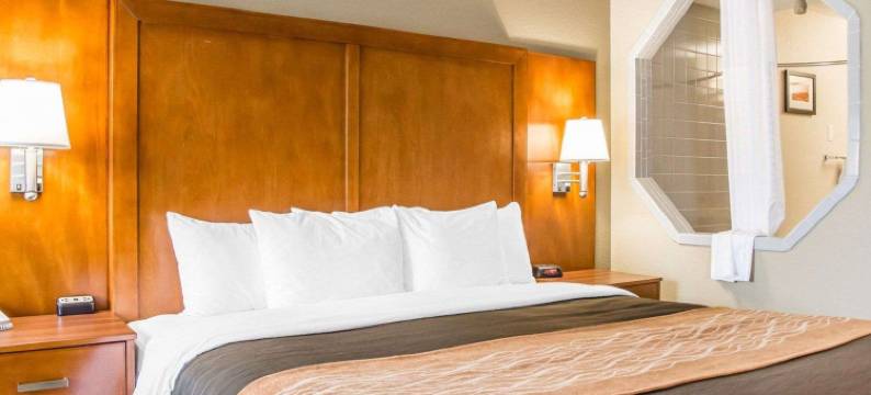 贝尔方丹舒适酒店(Comfort Inn)图片