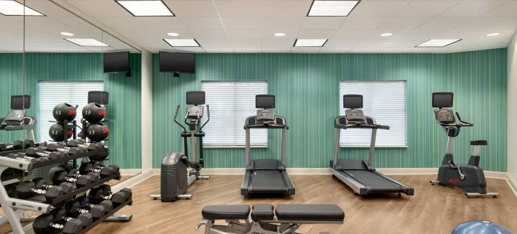 智选假日套房酒店山喜 - 查尔斯顿(Holiday Inn Express & Suites Charleston - Mount Pleasant)图片