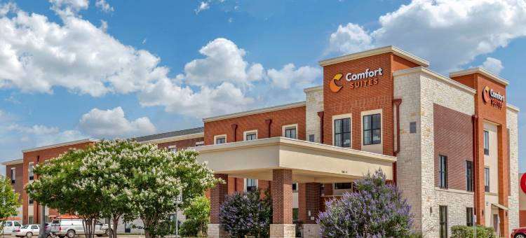 舒适套房酒店(Comfort Suites Kyle)图片