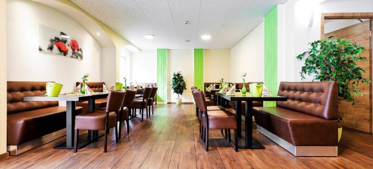 金茨堡城市酒店(Günzburg City)图片