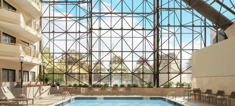 纽瓦克机场希尔顿逸林酒店(DoubleTree by Hilton Hotel Newark Airport)图片