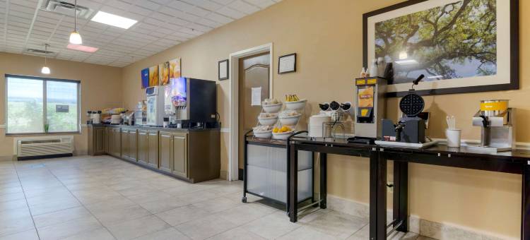 萨凡纳北舒适套房酒店(Comfort Suites Savannah North)图片