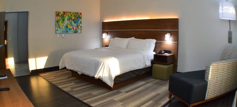 智选假日套房酒店塞金(Holiday Inn Express & Suites SEGUIN by IHG)图片