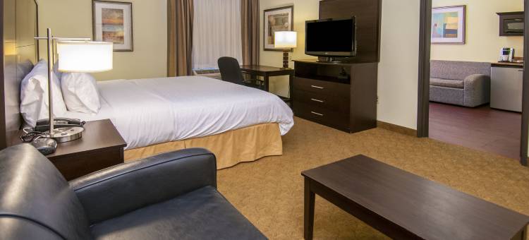 智选假日套房酒店休斯顿洲际北(Holiday Inn Express & Suites HOUSTON NORTH INTERCONTINENTAL by IHG)图片