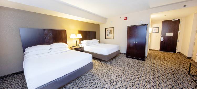 Holiday Inn 机场西地球城(Holiday Inn ST. Louis Arpt West-Earth City)图片