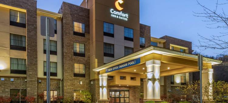 匹兹堡南康福特酒店及套房(Comfort Inn & Suites Pittsburgh South)图片