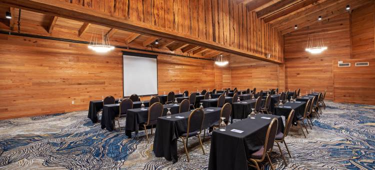 Holiday Inn Resort 南帕诸岛(Holiday Inn Resort South Padre Island-Beach Front)图片