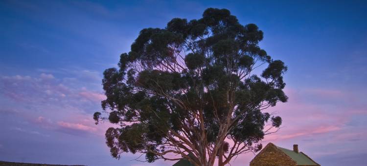 布什曼斯克卢夫郊区酒店(Bushmans Kloof Wilderness Reserve and Wellness Retreat)图片