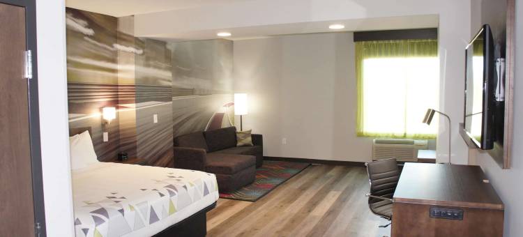 布拉塞尔顿拉昆塔温德姆套房酒店(La Quinta Inn & Suites by Wyndham Braselton)图片