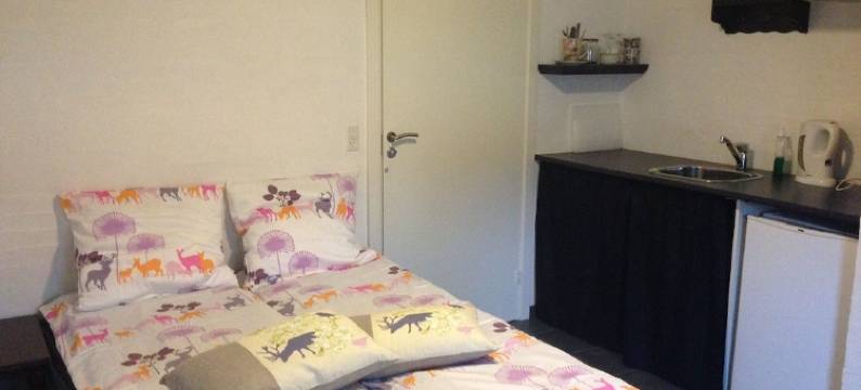 奥斯特瓦恩民宿(Oster Vaaen Bed and Breakfast)图片