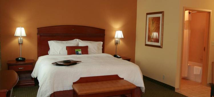 里奇港欢朋套房酒店(Hampton Inn & Suites Port Richey)图片