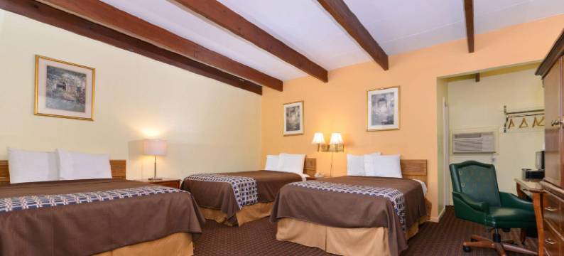 杰尼瓦美洲最佳价值酒店(Americas Best Value Inn Geneva)图片