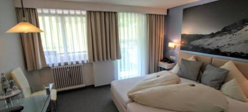 嘉妮费尔斯酒店(Hotel-Garni Fels)图片