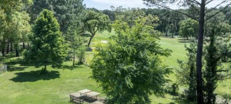 Palombes - Joli Appartement Piscine图片