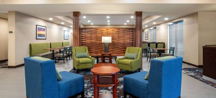 埃姆斯爱荷华州立大学校园附近舒适套房酒店(Comfort Inn and Suites Ames Near Isu Campus)图片