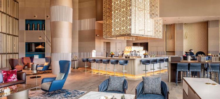 阿尔及尔机场凯悦酒店(Hyatt Regency Algiers Airport)图片