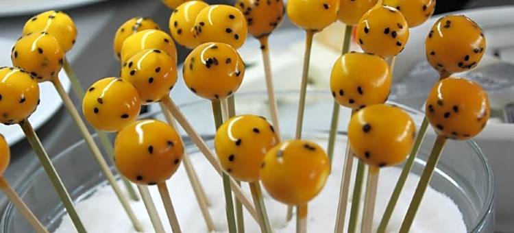 伊维萨妮可THB酒店(THB Naeco Ibiza - Adults Only)图片