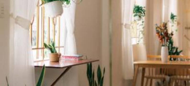 Phong Mo - Nha Mo Homestay Ben Tre图片