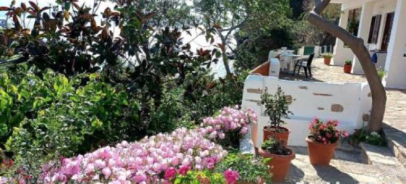 Studios Limnionas图片