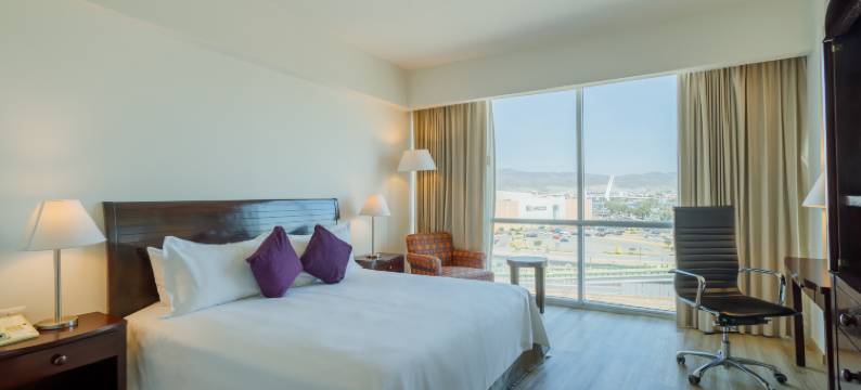 帕丘卡卡米诺里尔酒店(Camino Real Pachuca)图片