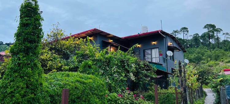 Samskara & Samsara图片