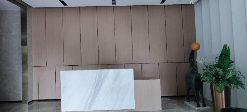 安心小居()公寓(国博大道分店)图片