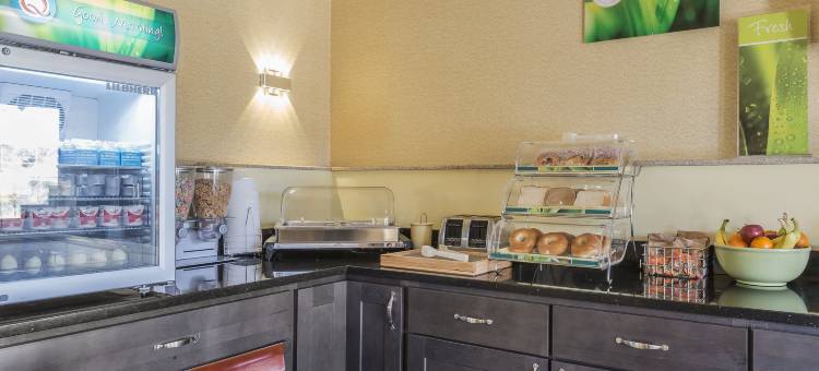 凯艺套房酒店(Quality Inn & Suites)图片