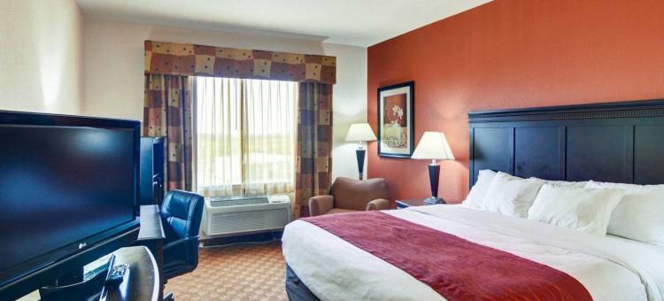 舒适酒店-近UNT(Comfort Inn Near UNT)图片