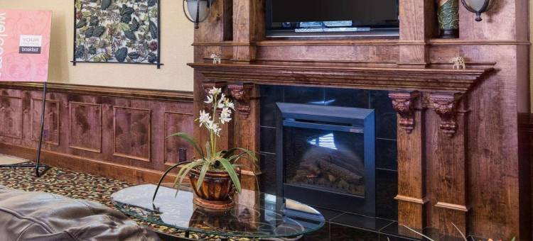 南山I-85舒适套房酒店(Comfort Inn & Suites South Hill I-85)图片