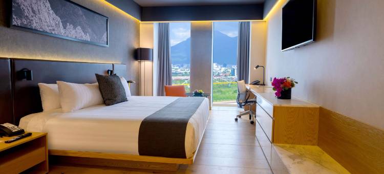 货廊广场蒙特雷(Galeria Plaza Monterrey)图片