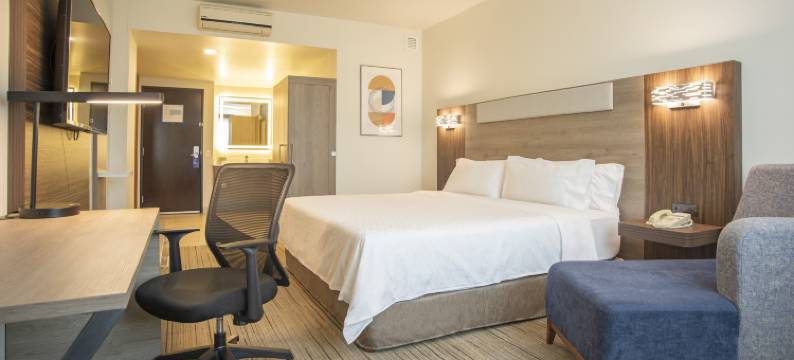 Holiday Inn Express 瓜达拉哈拉ITESO(Holiday Inn Express GUADALAJARA ITESO by IHG)图片