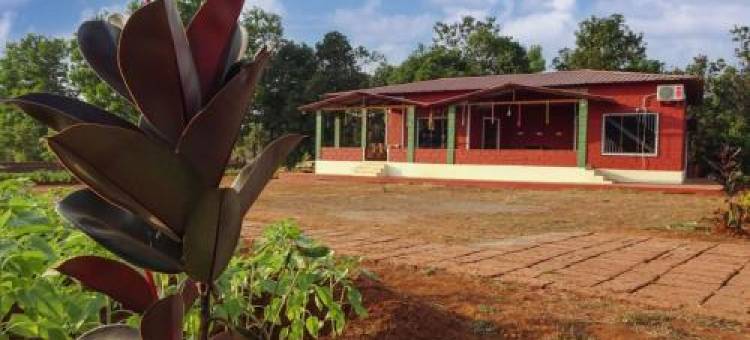 阿亚农场旅馆(Aarya Farm)图片