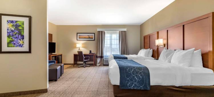 舒适套房酒店-比尤达奥斯汀南(Comfort Suites Buda - Austin South)图片