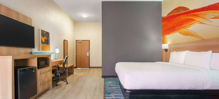 圣安东尼奥海洋世界/LAFB拉昆塔温德姆套房酒店(La Quinta Inn & Suites by Wyndham San Antonio Seaworld/Lafb)图片