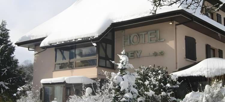 圣朱利安昂热内瓦原生酒店(The Originals City, Hôtel Rey du Mont Sion, Saint-Julien-en-Genevois Sud)图片