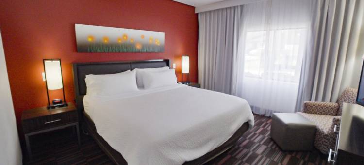 洲际酒店集团欧文拉斯科利纳斯假日酒店(Holiday Inn Irving - Las Colinas)图片