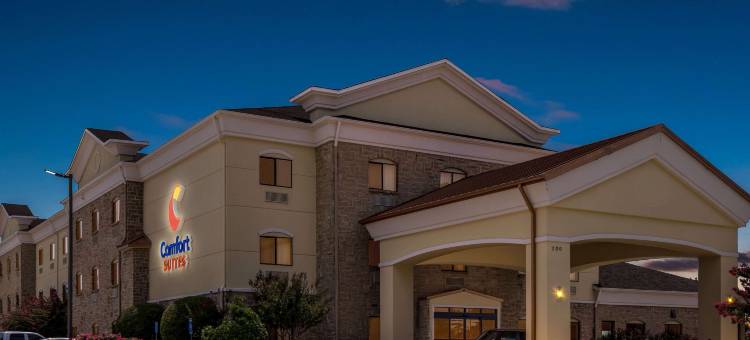 林代尔-泰勒北舒适套房酒店(Comfort Suites Lindale - Tyler North)图片
