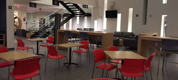 蒙特雷阿波达卡机场区温德姆华美达安可酒店(Ramada Encore by Wyndham Monterrey Apodaca Zona Aeropuerto)图片
