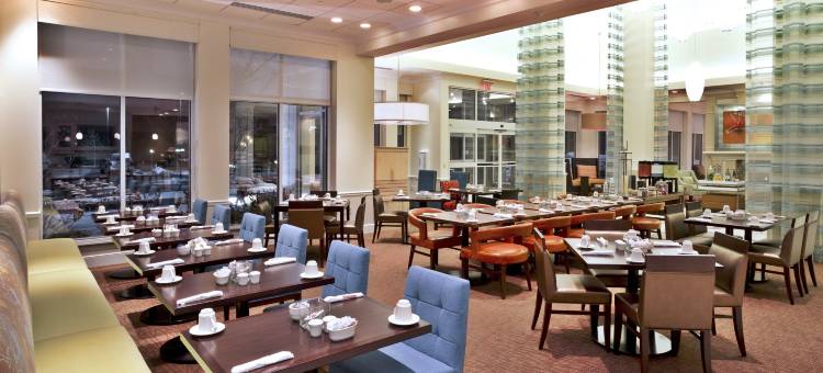 底特律诺维希尔顿花园客栈(HIlton Garden Inn Detroit/Novi)图片